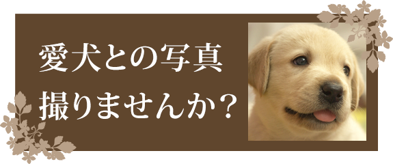 愛犬との写真を撮りませんか？