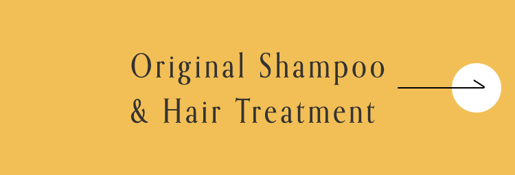 Original Shampoo  & Hair Treatment